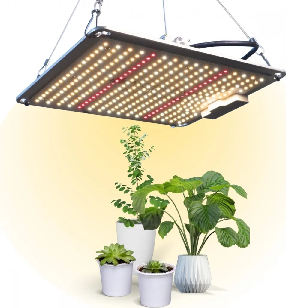 Lampe LED plantes GrowLight 100W : évitez le manque de soleil en intérieur