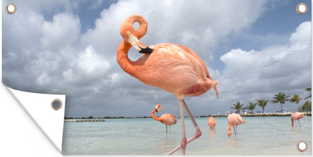 MuchoWow 160x80 cm Outdoor-Poster Gartendeko Sichtschutz Garten Poster für den Garten Ein Flamingo steht mit einem Fuß im Wasser