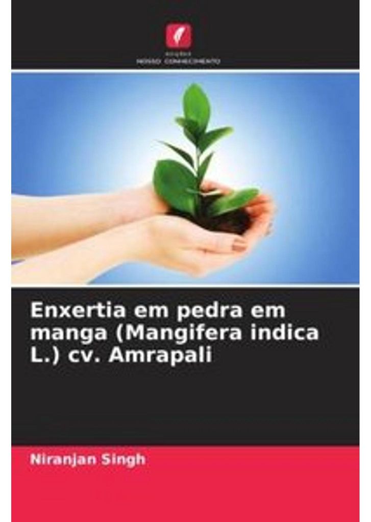 Enxertia em pedra em manga (Mangifera indica L.) cv. Amrapali