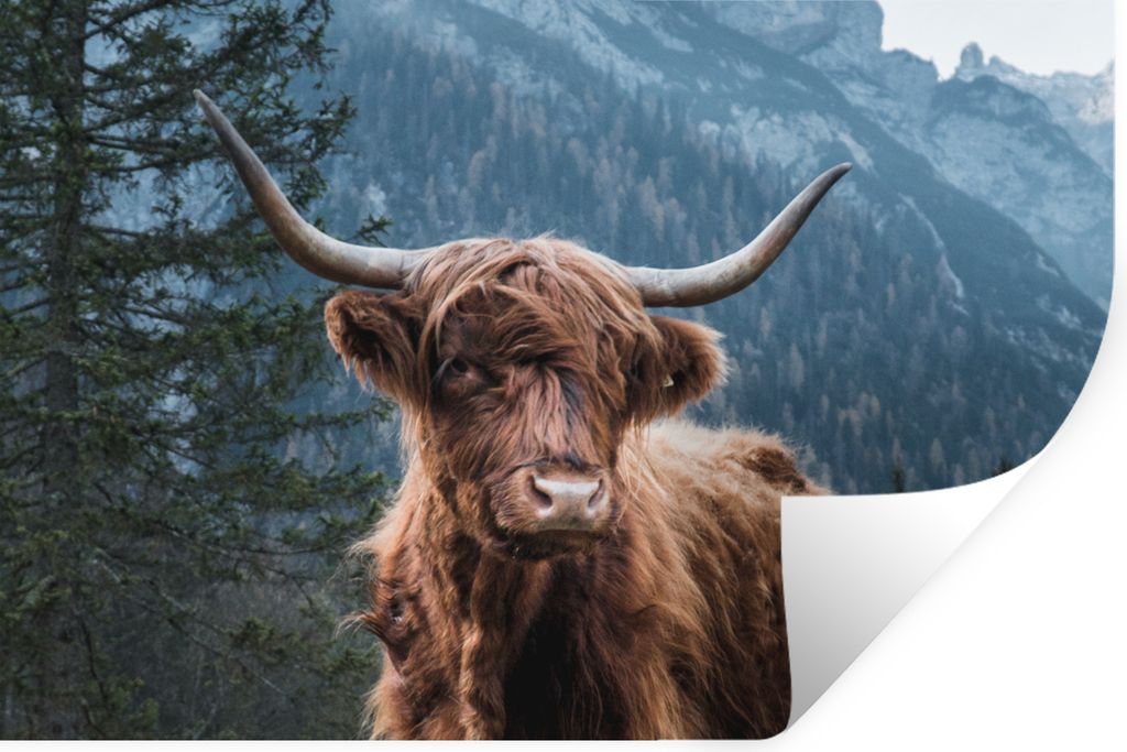 MuchoWow Wandtattoo Wandsticker Wandaufkleber Schottischer Highlander - Wald - Höhle 90x60 cm Selbstklebend und Repositionierbar - Aufkleber