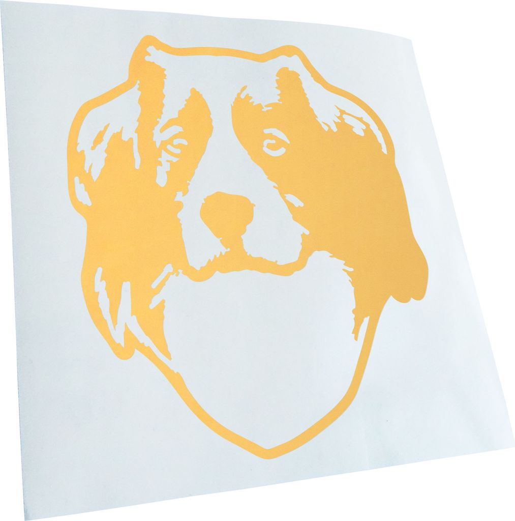 Kiwistar - Autoaufkleber - Kooikerhondje Hund - Creme - 24x20cm - Aufkleber für Auto, Laptop, Fahrrad, LKW, Motorrad Mehrfarbig JDM Decal Racing