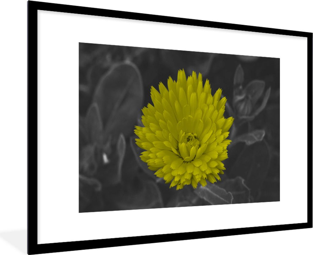 MuchoWow Gerahmtes Poster Blumen - Aquarell - Löwenzahn 90x60 cm - Poster mit Schwarzem Bilderrahmen Wandposter Rahmen Foto Bilder - Wanddekorat...