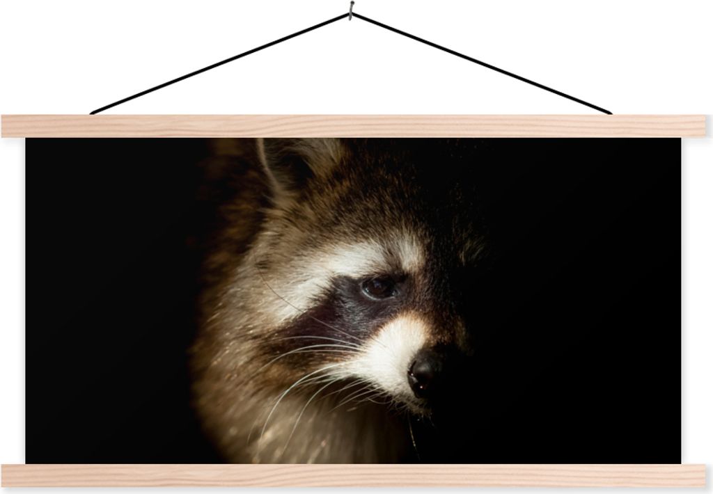 MuchoWow Textilposter Waschbär - Wilde Tiere - Schwarz 60x30 cm mit holzfarbenen Rahmen - Dekoration