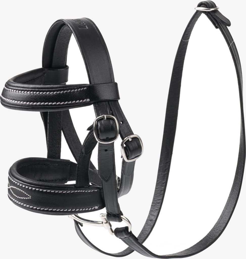 A black leather horse bridle is displayed against a white background.