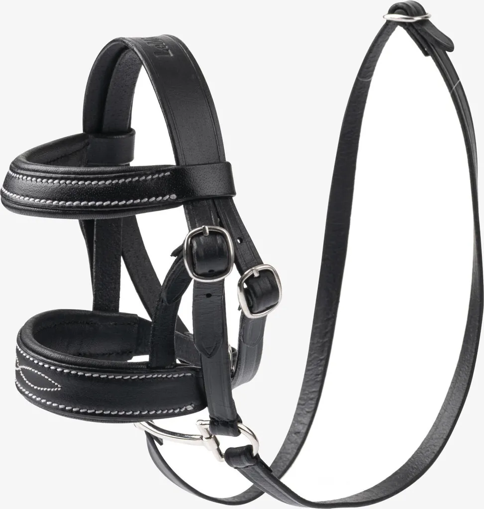 Mors noir Hobby Horse de compétition avec anneaux en acier inoxydable