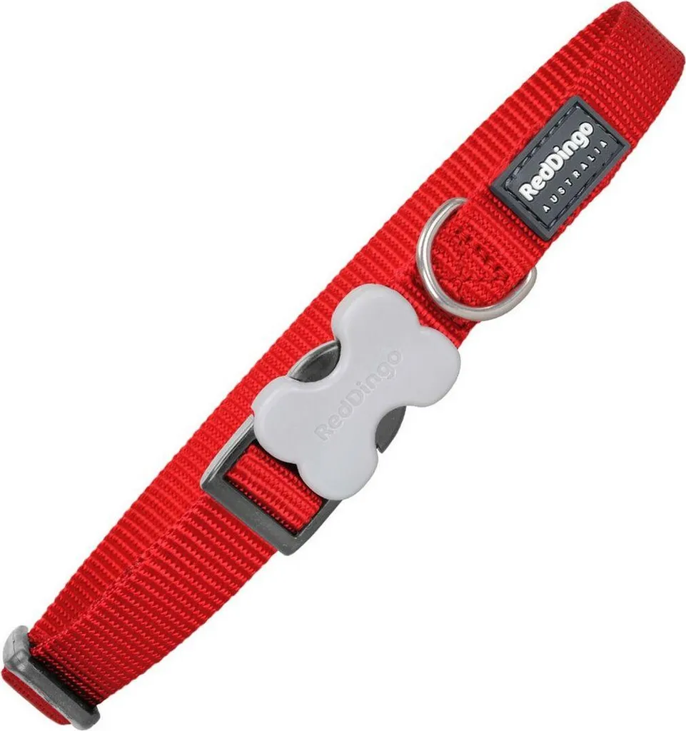 Red Dingo Collare Rosso per Cani 31-47 cm: Sicurezza in Stile Classic