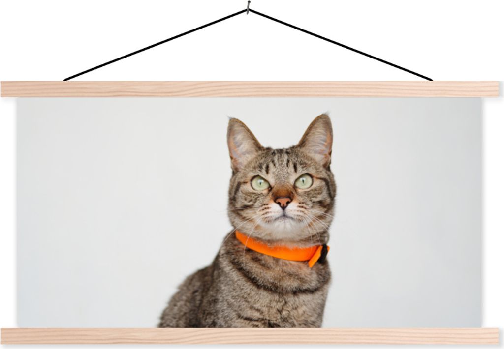 MuchoWow Textilposter Katze - Halskette - Orange - Mädchen - Kinder - Jungen - Kinder 120x60 cm mit holzfarbenen Rahmen - Klemmleiste