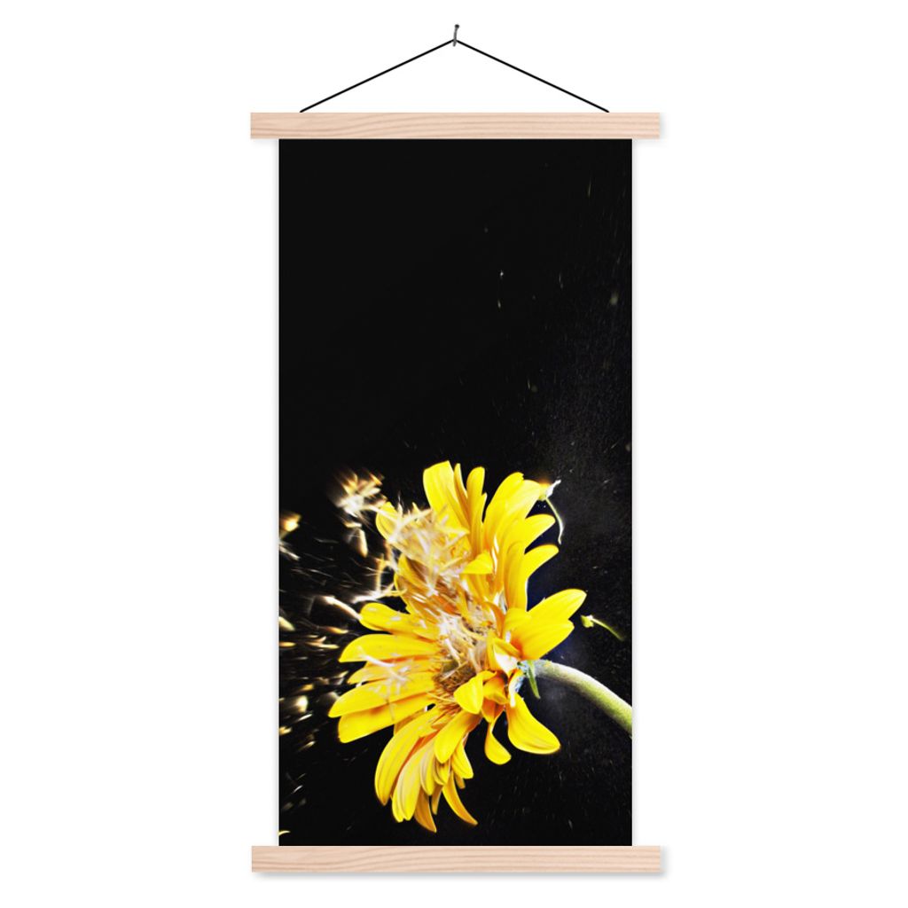 MuchoWow Textilposter Eine orangefarbene Gerbera-Blüte auf schwarzem Hintergrund abgebildet 60x120 cm mit holzfarbenen Rahmen - Holz