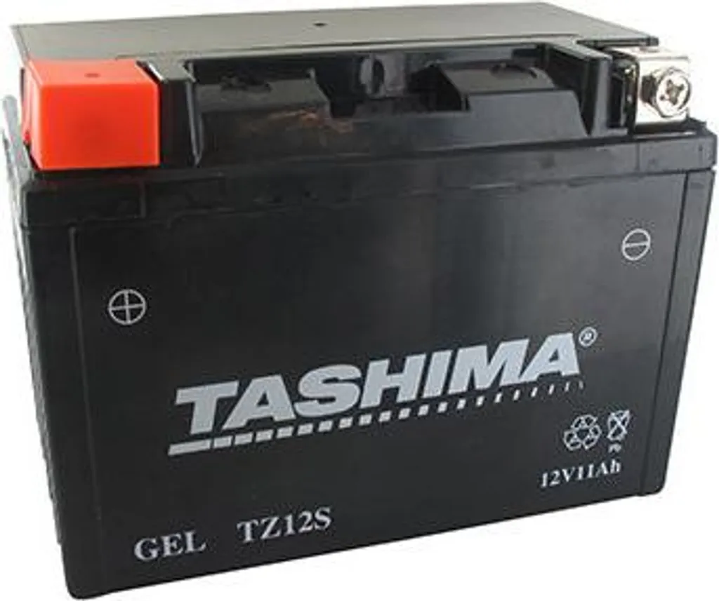 Batterie Gel 12V 11Ah Haute Performance - Étanche et Anti-Vibration