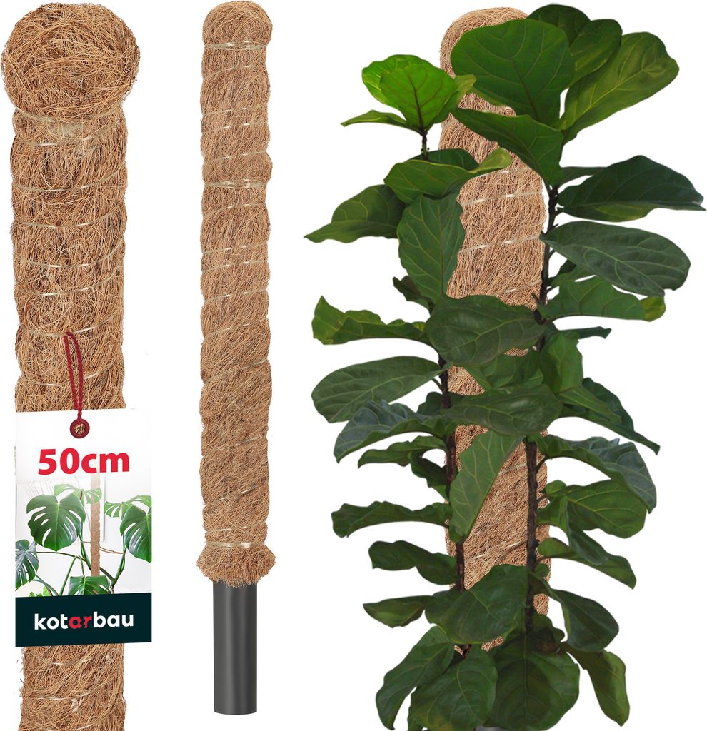 KOTARBAU® Mechová tyč pro monstery ⌀ 3,2 x 50 cm Opora pro Obrázek produktu 