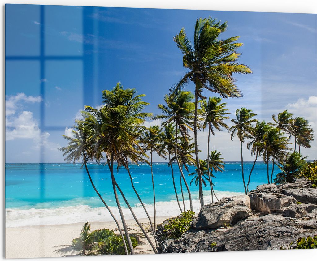 DEQORI Küchenrückwand Glas 80x60 cm 'Tropenparadies' Spritzschutz Bad Rückwand Küche