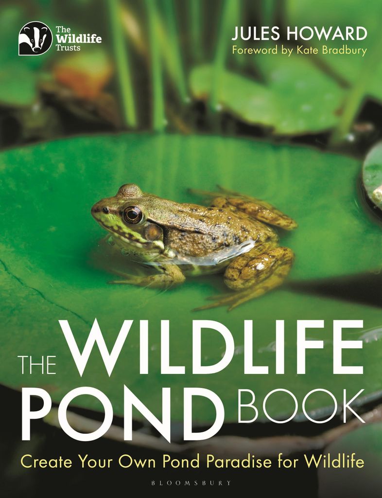 Wildlife Pond Book – Lingua: Inglese