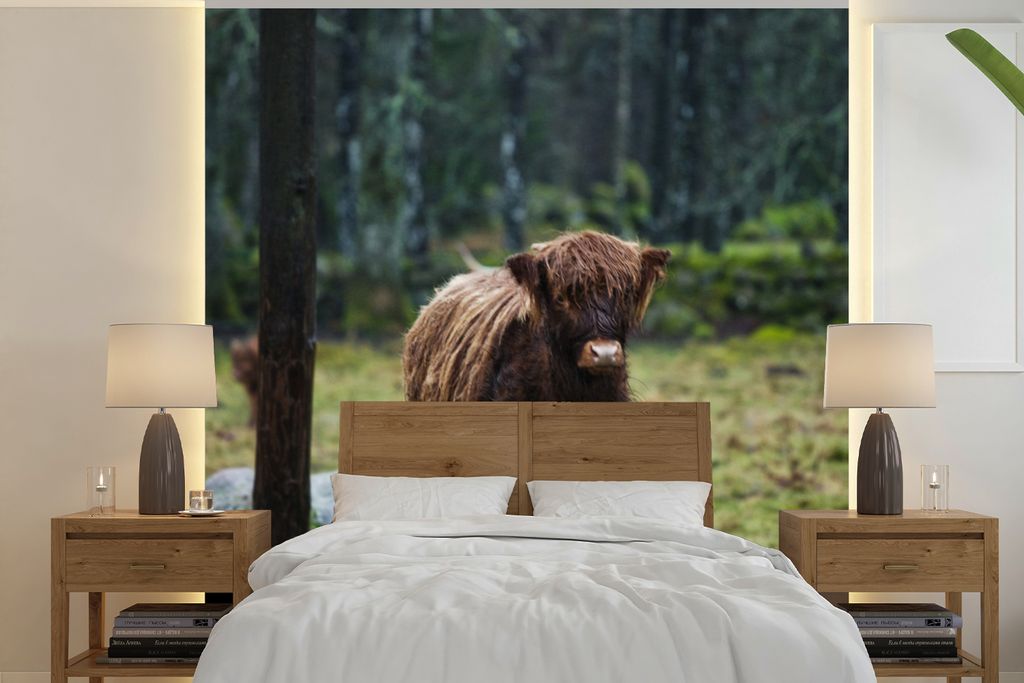 MuchoWow Fototapete für Wohnzimmer oder Schlafzimmer Wandtapete Vinyl Motivtapete Schottischer Hochländer - Wald - Moos - 280x280 cm - Hintergr...