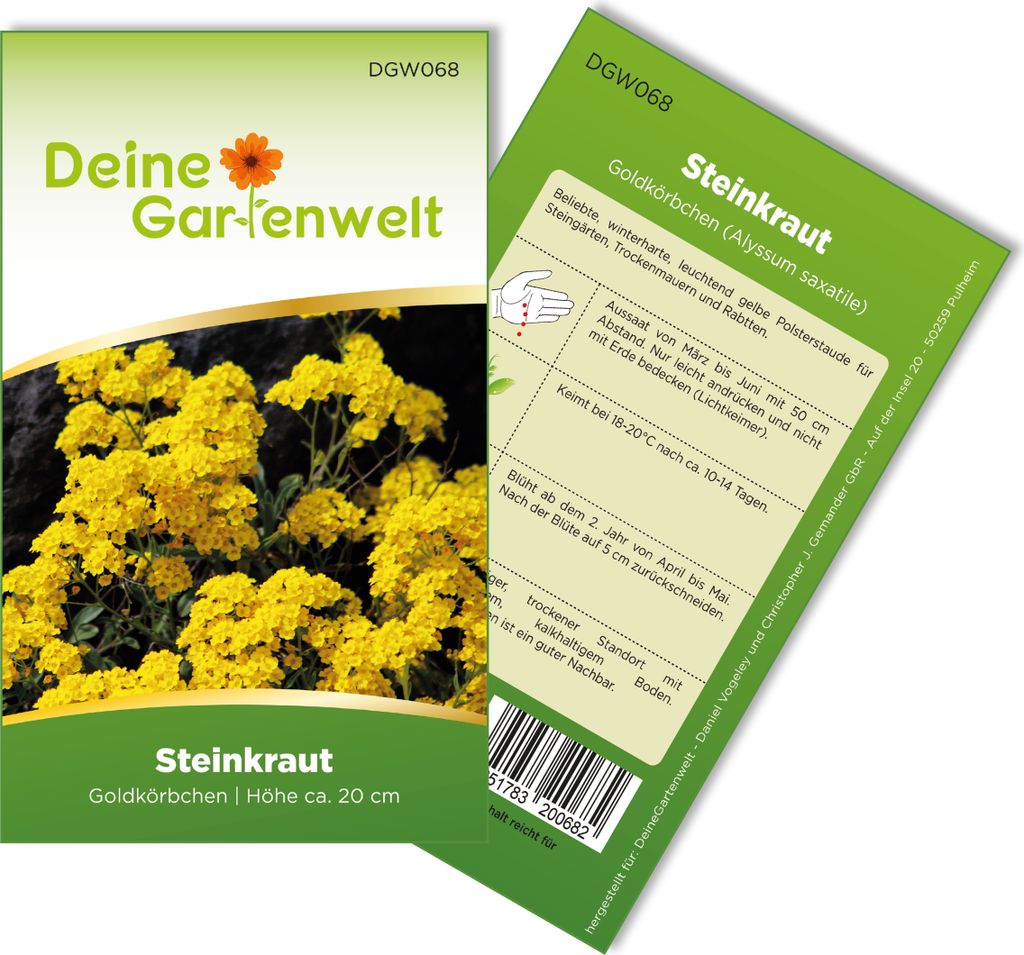Steinkraut Goldkörbchen Samen - Alyssum saxatile - Produktbild 