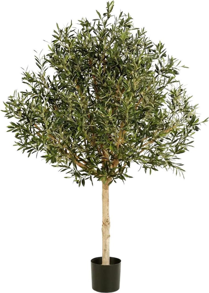 aplanta Künstlicher Olivenbaum - Ivy | 150 cm, Echtholzstamm, für drinnen, Kunstbaum, wie echt, Allergiker geeignet, pflanzliche Dekoration Praxi...