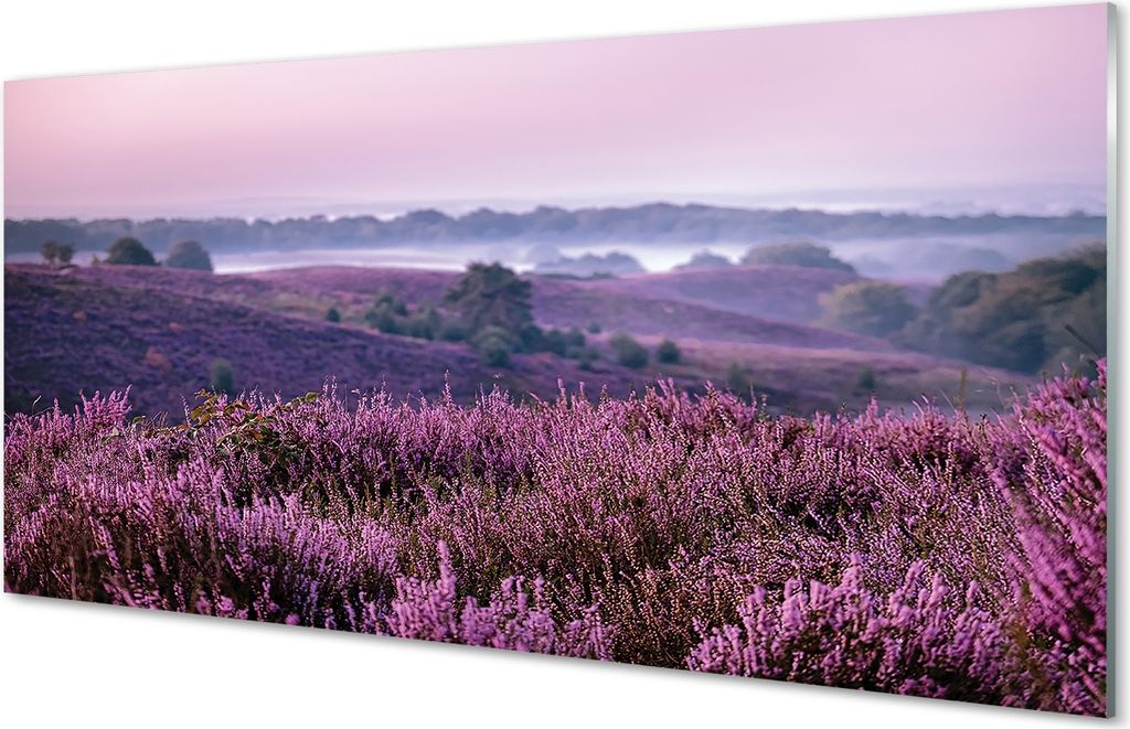 Glasbilder 120x60 Wandkunst Feld heathers