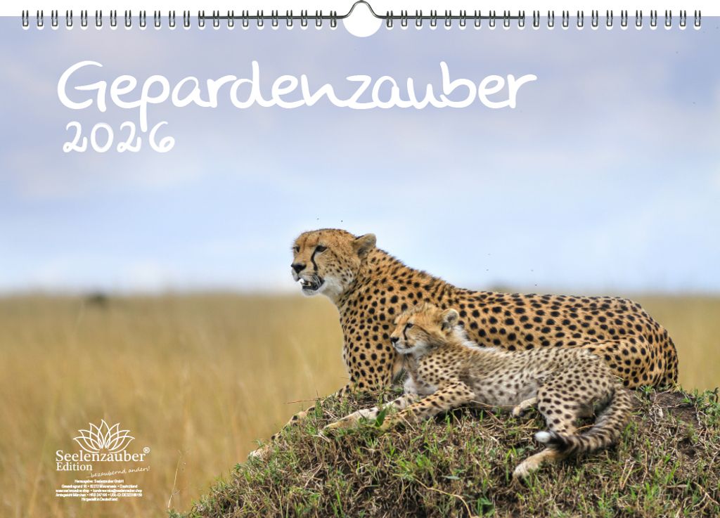 Gepardenzauber DIN A3 Kalender für 2026 Gepard - Seelenzauber