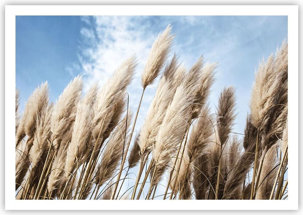 Poster - Poster ohne Rahmen - Stock Himmel Boho - 100x70 cm - Wand Bild - Wanddeko - Wandbilder - Kunstposter - Wandposter - Bilder - Kunstdruck - ...