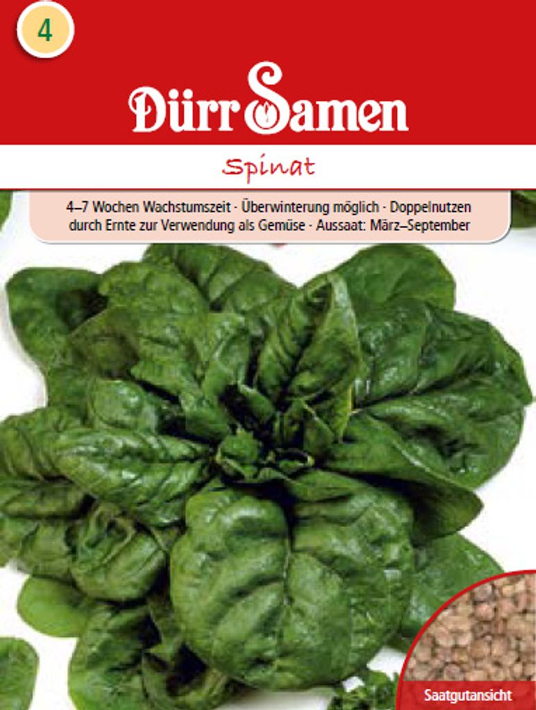 Gründünger Spinat Matador 1 kg | Spinatsamen von Dürr Samen Produktbild 
