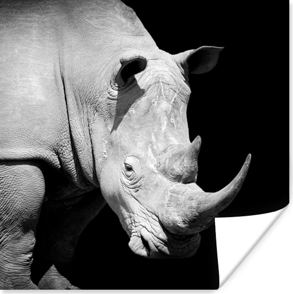 MuchoWow Poster Rhinozeros - Tier - Porträt 50x50 cm - Wohnzimmerdekoration