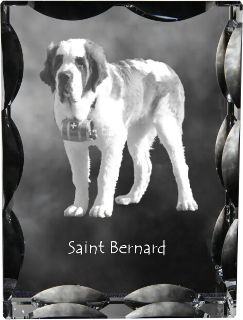 Cadre photo Saint-Bernard en cristal Art-Dog effet 2D haute qualité