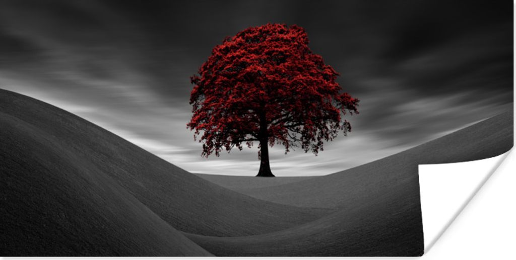 MuchoWow Poster Schwarz-Weiß-Foto mit einem roten Baum 80x40 cm - Wanddeko
