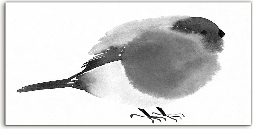 Coloray Canvas 140x70 Wandbild Leinwand Bilder Deko Malerei Vogel Kunstwerk natürlich