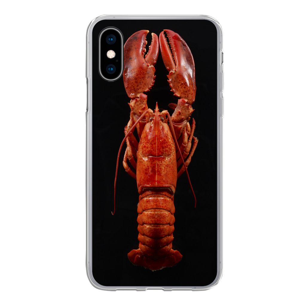 MuchoWow Handyhülle Schutzhülle Hülle für iPhone X Krebs - Rot - Porträt Silikon Softcase Handy Hülle - Handyhülle