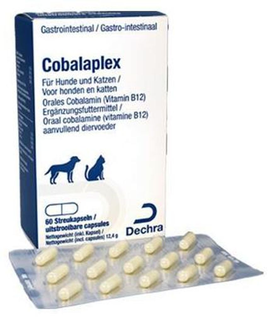 Cobalaplex 60 Kapseln Cobalamin, Vitamin B12, Hund, Katze, Produktbild 
