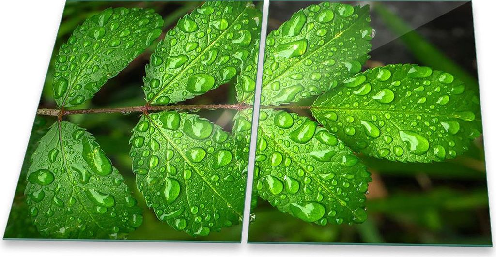 Herdabdeckplatte Glaskeramik 2-Teilig 2x40x52 Natur Grün Abdeckung Spritzschutz Glas