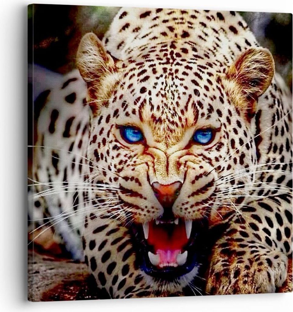 Bild auf Leinwand - Leinwandbild - Panther Tier - 30x30cm - Wand Bild - Wanddeko - Wandbilder - Leinwanddruck - Bilder - Kunstdruck - Wanddekoratio...