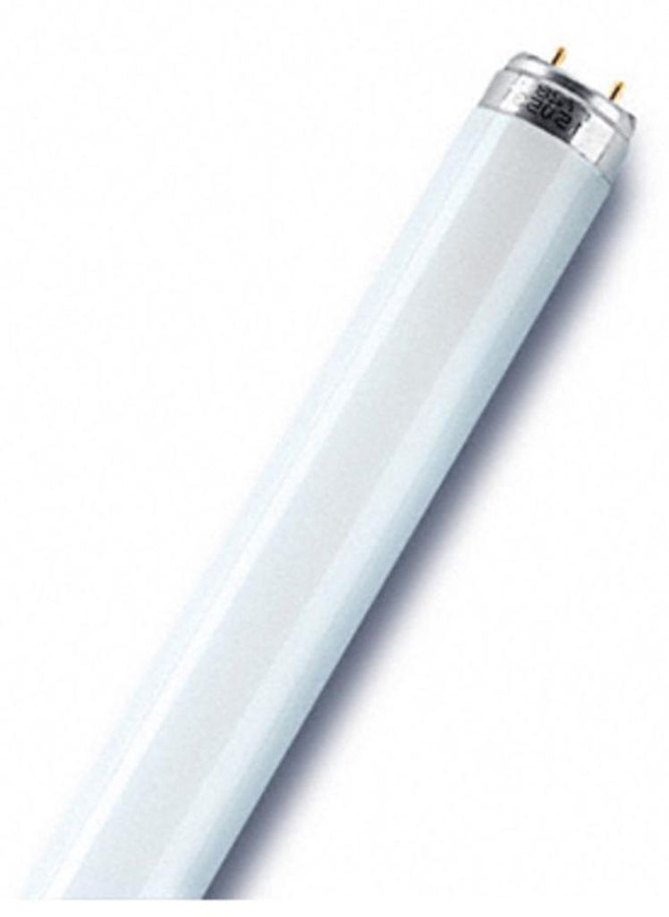 Tubo fluorescente Osram Lumilux 865 Daylight 36 Watt 120 cm Immagine del prodotto 
