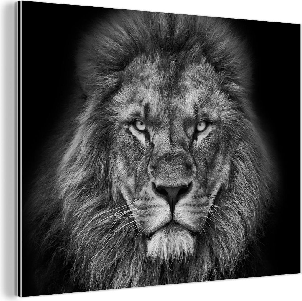 MuchoWow Wanddekoration Metall Metallbild Wandkunst 80x60 cm Tiere - Löwe - Schwarz - Weiß - Porträt MuchoWow Aluminium Gemälde - Alubild