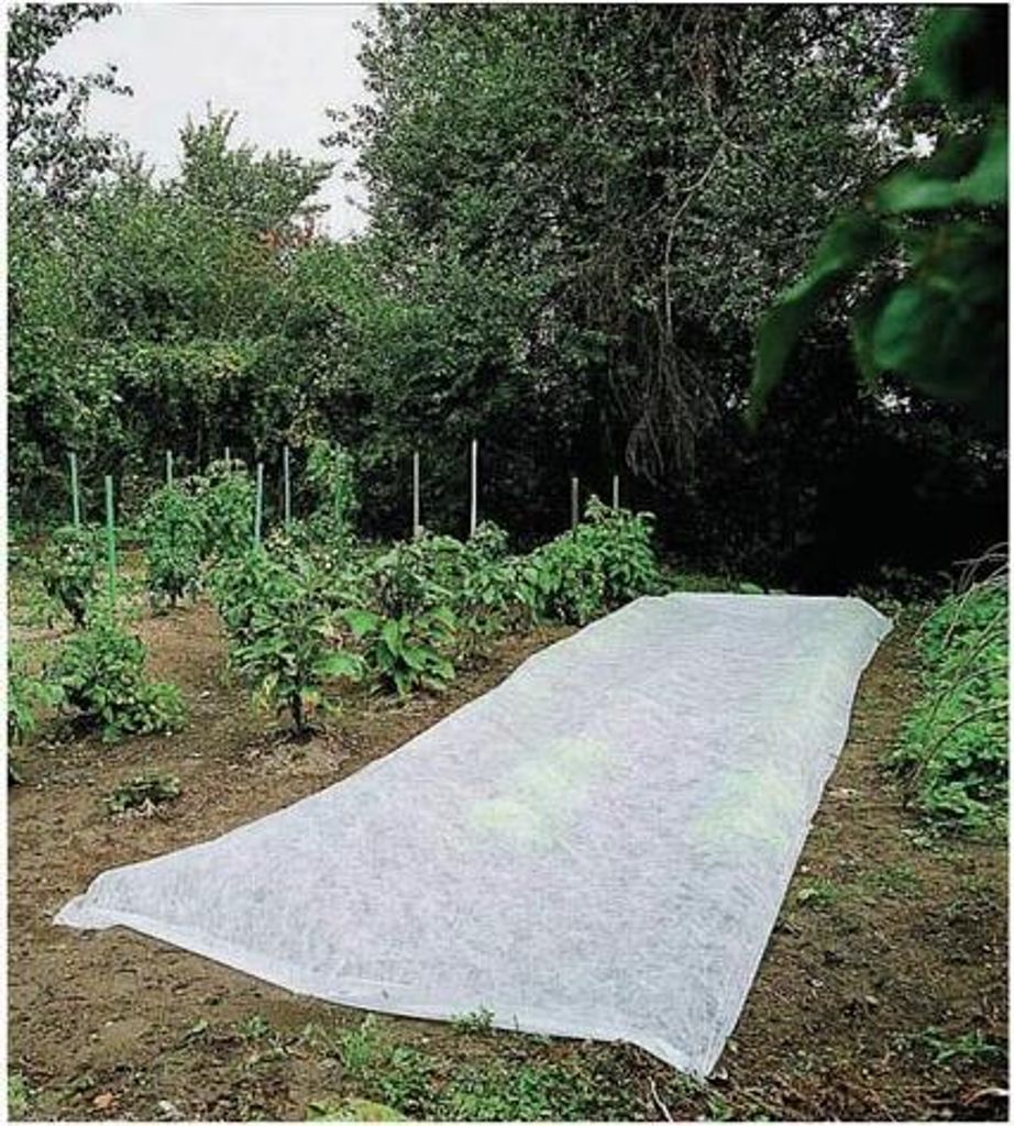 CLIMATEX Wachstumsschleier 2x10m