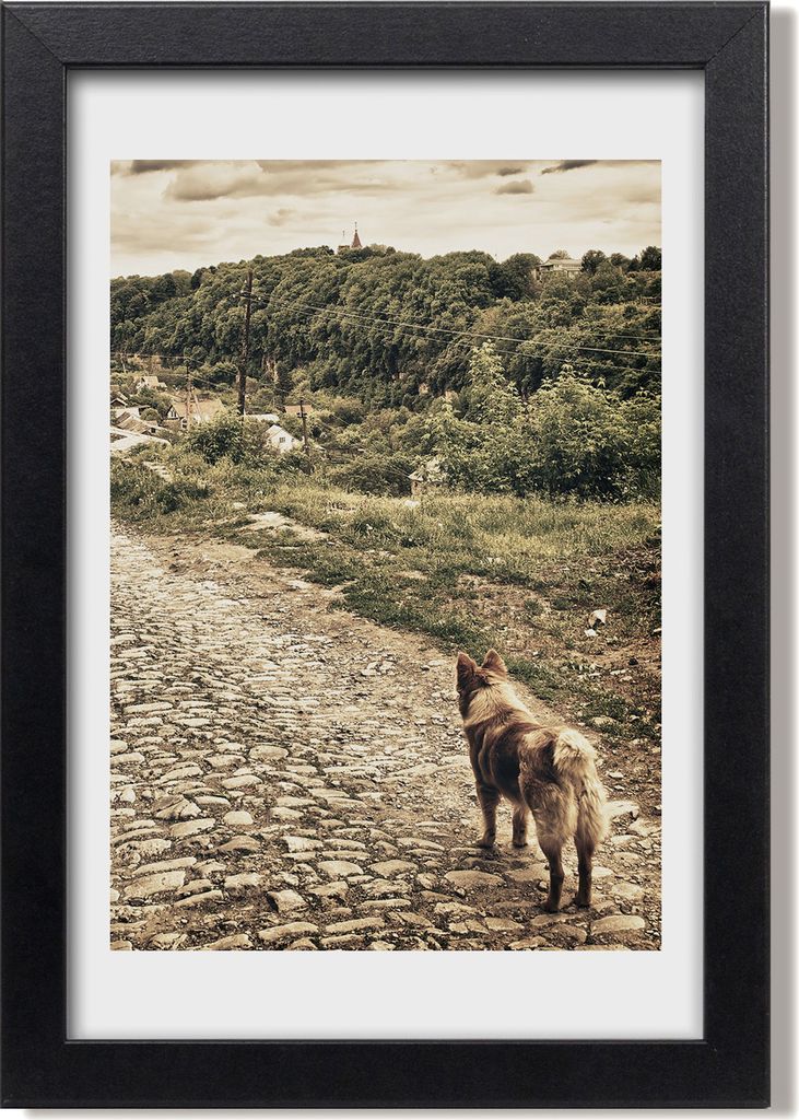Bild 20x30 MDF-Rahmen, Wandkunst Zwei Hunde auf dem Hügel