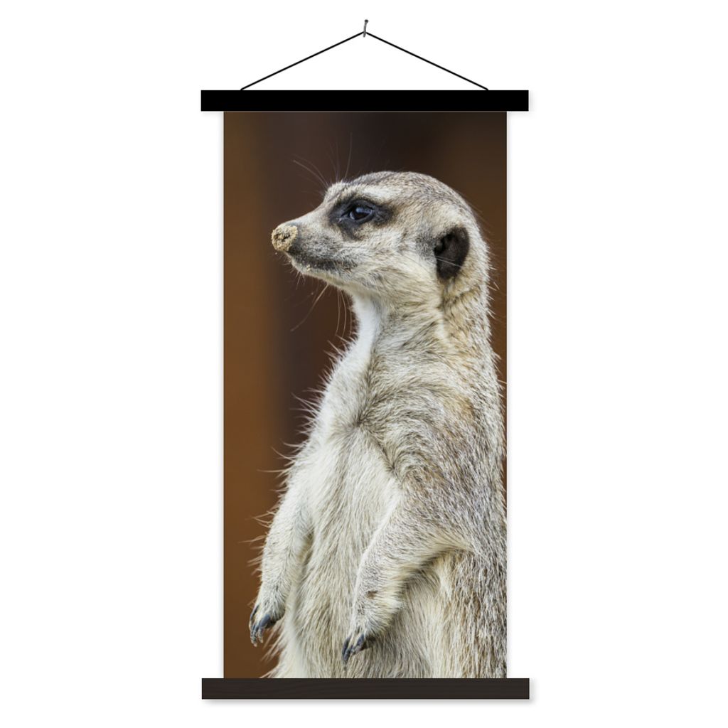 MuchoWow Textilposter Erdmännchen - Tier - Spiel 40x80 cm mit schwarzem Rahmen - Wandemalerei