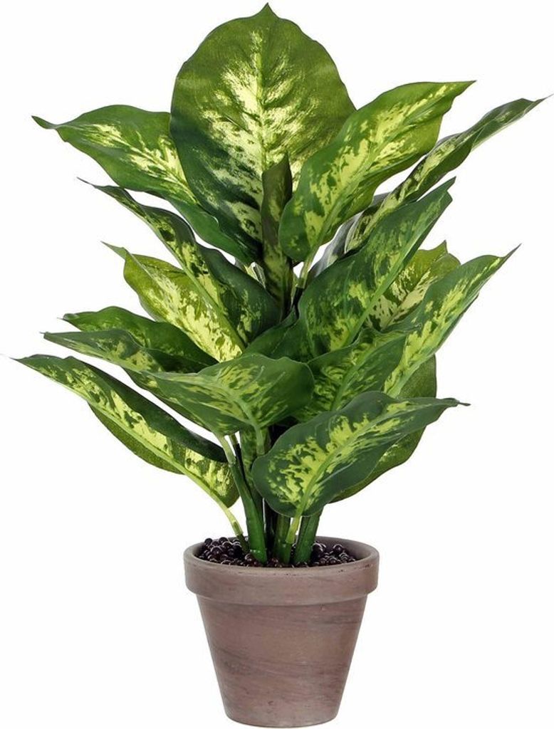 Mica Decorations Plante artificielle Dieffenbachia - Image du produit 