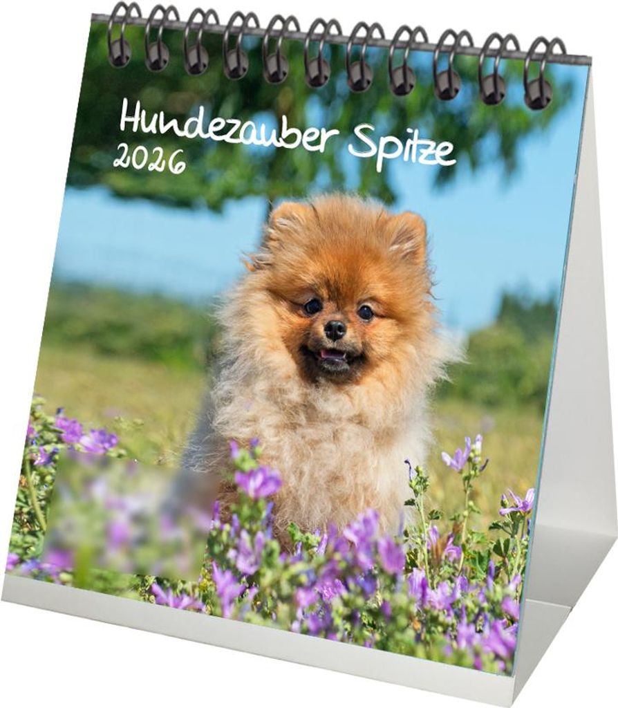 Hundezauber Spitze Tischkalender 10cm x 10cm für 2026 Welpen und Hunde - SetInhalt: 1x Kalender 1x Weihnachtsanhänger 1x Grußanhänger (gesamt 3...