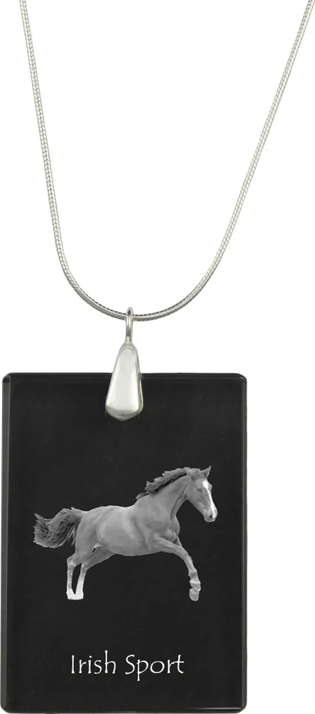 Regalo Unico Amanti Cavalli: Collana Irish Sport Horse Foto Argento