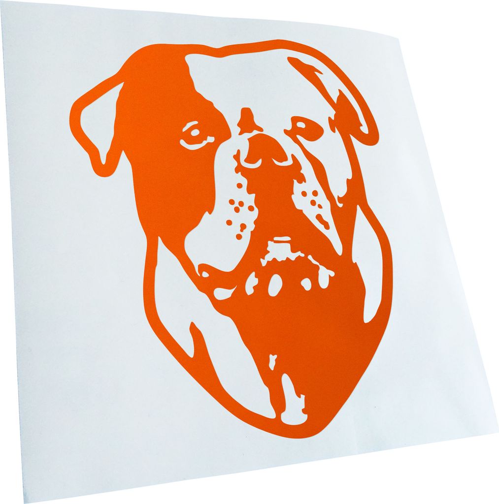 Kiwistar - Autoaufkleber - American Bulldog Hund - Orange - 40x33cm - Aufkleber für Auto, Laptop, Fahrrad, LKW, Motorrad mehrfarbig JDM Decal Racing