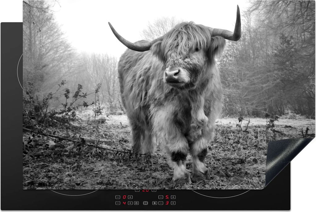 KitchenYeah Herdabdeckplatte Schottische Highlander - Natur - Herbst - Tiere - Wildtiere - Wald , 81x52cm, Küche Deko, Glaskeramikkochfeld Herda...
