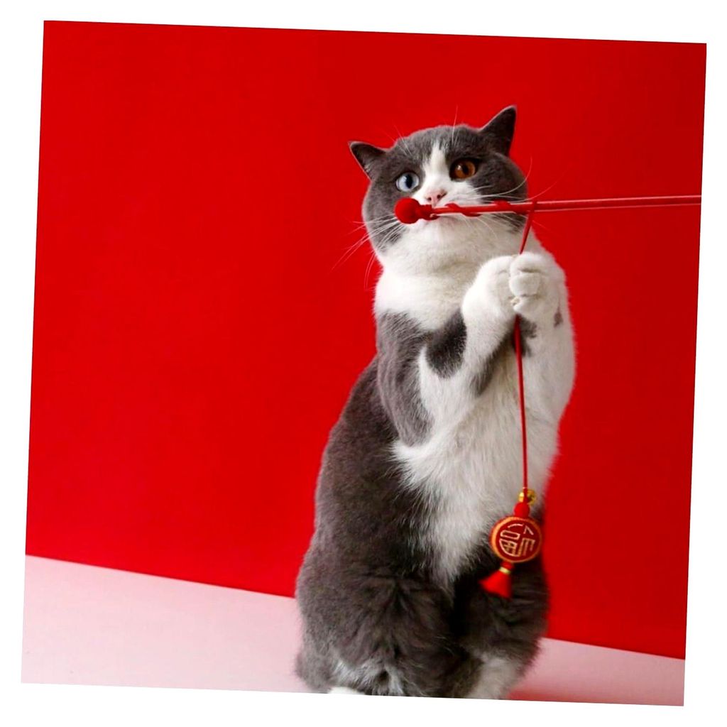 Kostüm für Katzen im chinesischen Stil mit Halsband und Spielzeug zur Dekoration und für Fotos