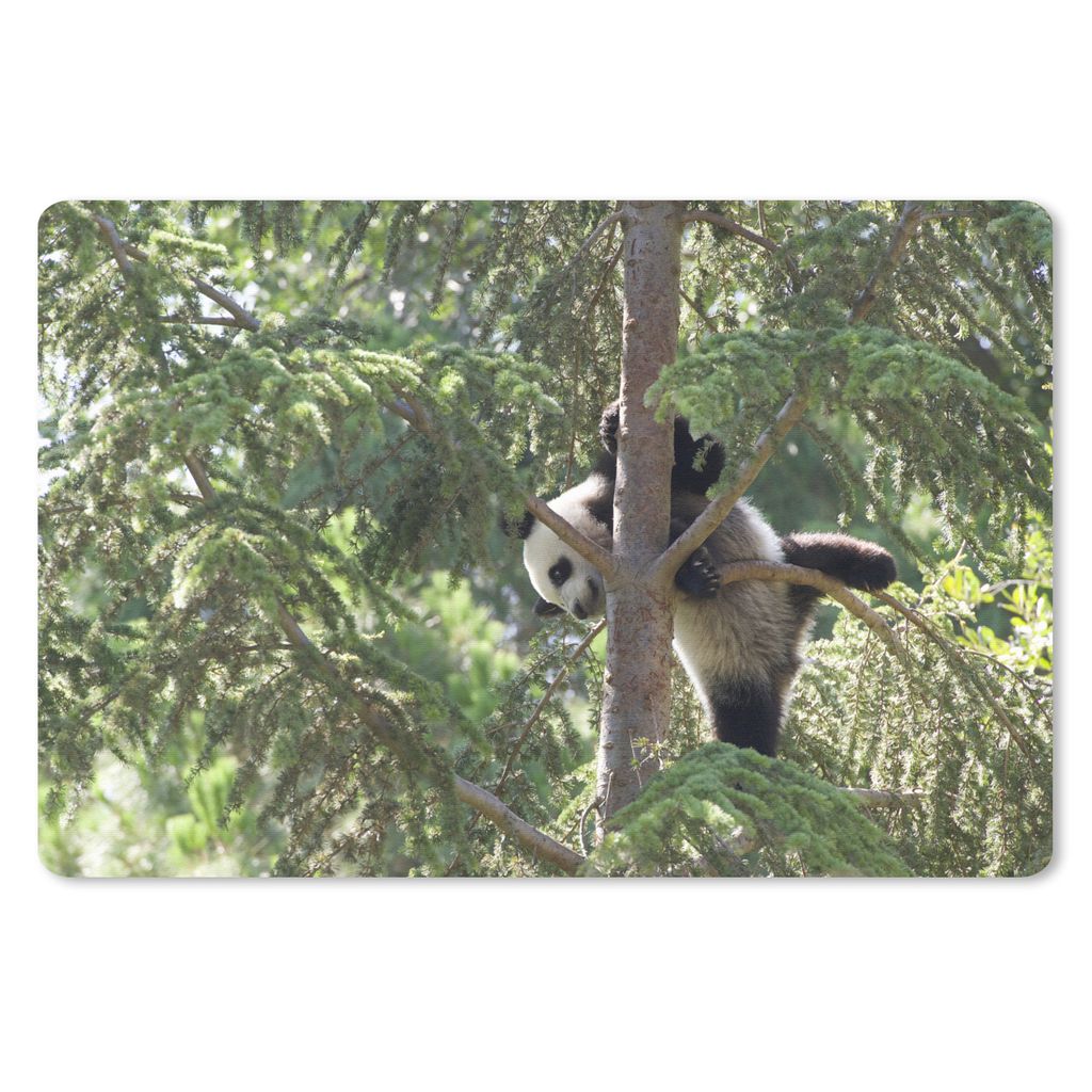MuchoWow Schreibtischunterlage Panda - Baum - Blätter 60x40 cm - XXL Mauspad - Großes Mauspad