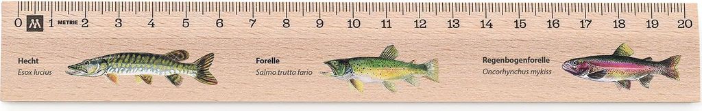 Metrie, Didakt-M02 Holzlineal, bedrucktes Raubfische, 20 cm