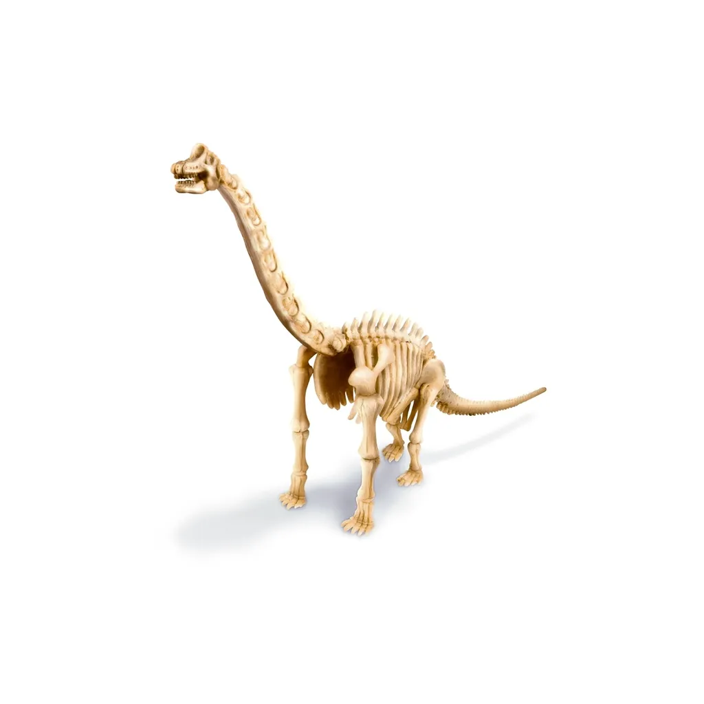 Jeu Éducatif Squelette de Brachiosaurus à Construire - Kit Scientifique - 2