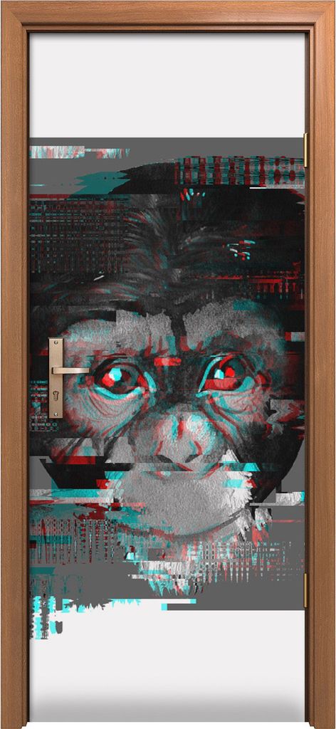 Türposter 80x200 cm Türaufkleber Türtapete Türfolie Klebefolie Foto Affe Tiere Moderne Kunst