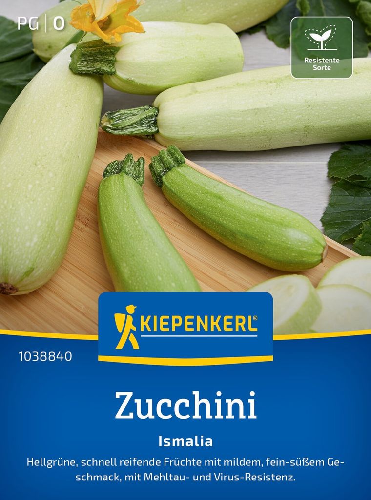 Kiepenkerl Zucchinisamen Ismalia F1 Cucurbita pepo 6 Produktbild 