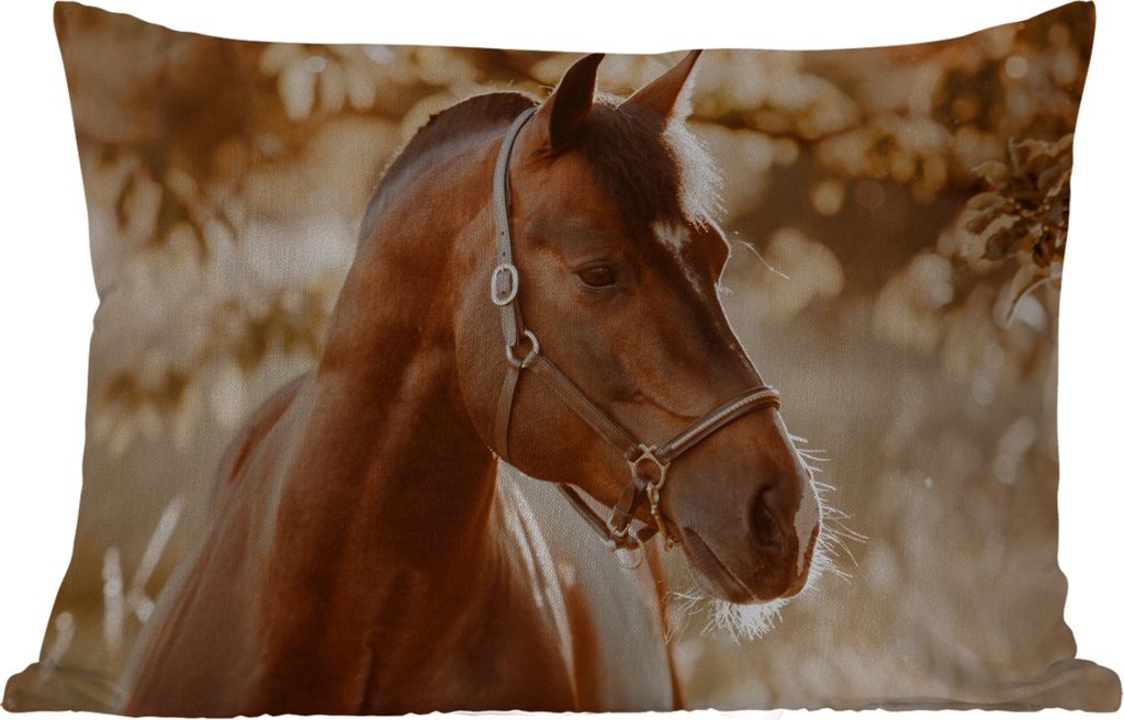 MuchoWow Outdoor Kissen - Pferd - Sonne - Porträt - Natur - Braun - 60x40 cm - Wetterfest - Lounge Kissen - Zierkissen - Kissen für Innenräume