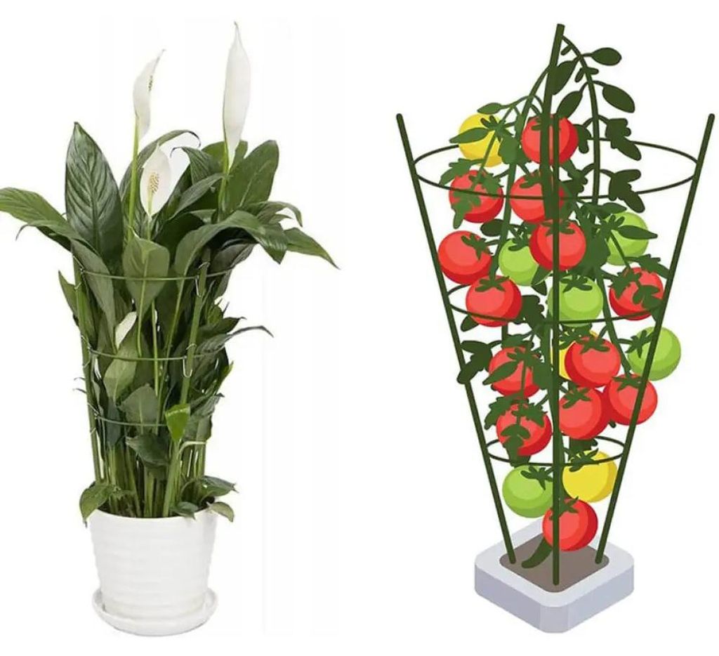 Pflanzenstütze 120CM BRADAS TYRP120 Produktbild 