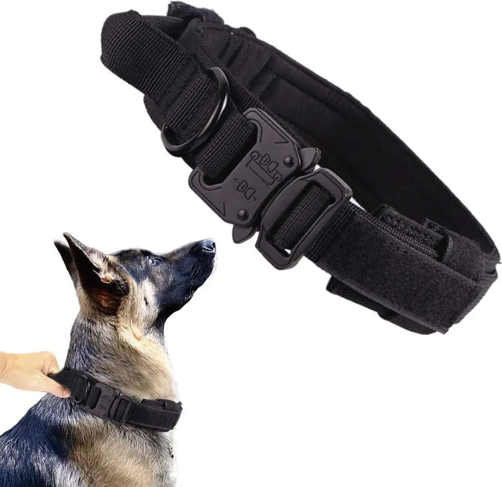 Collare Cane Taglia Media/Grande XL: Robusto, Nero con Fibbia Metallo